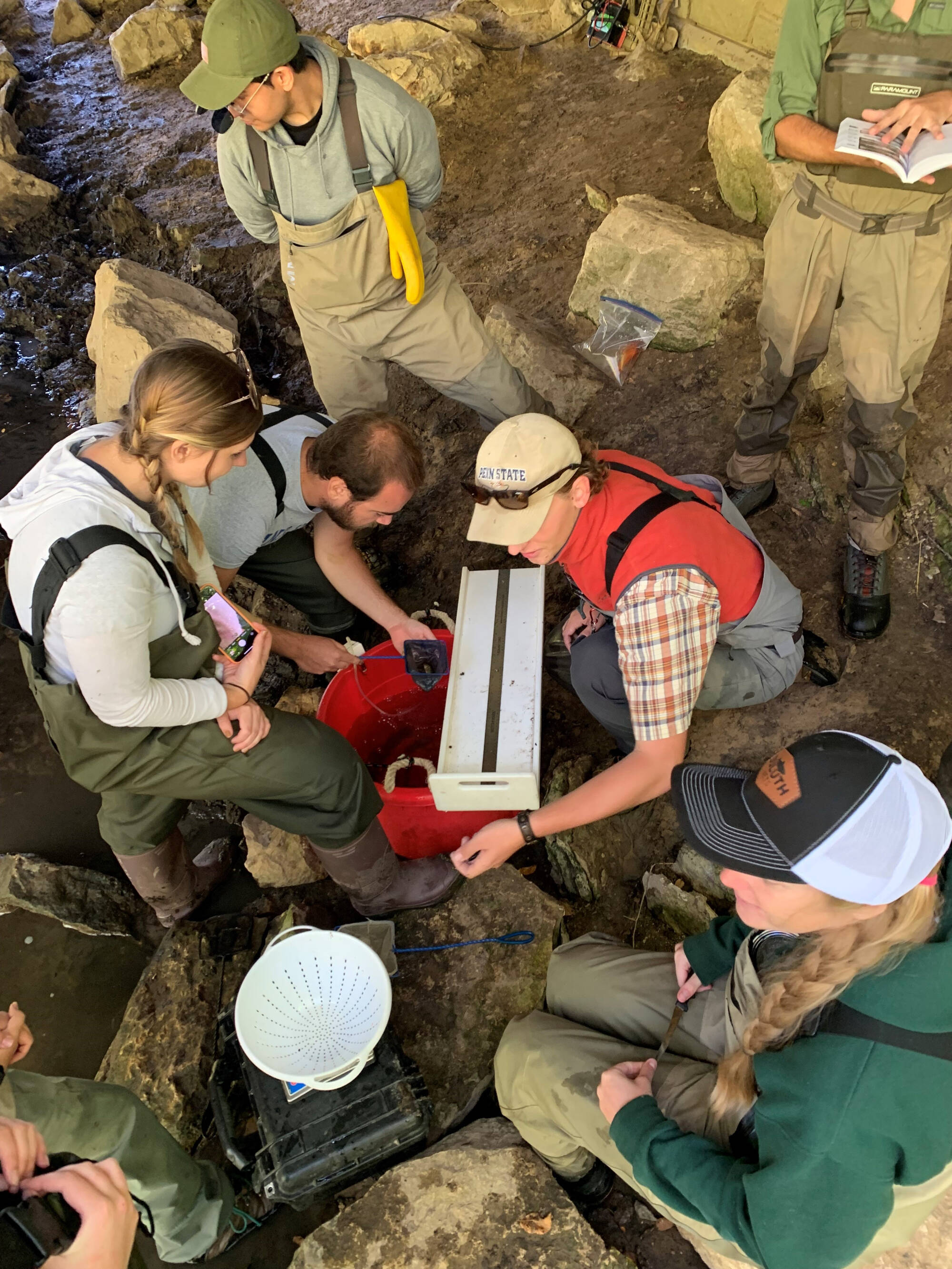 A group of student works to measure and identify fish collected during an electrofishing survey.